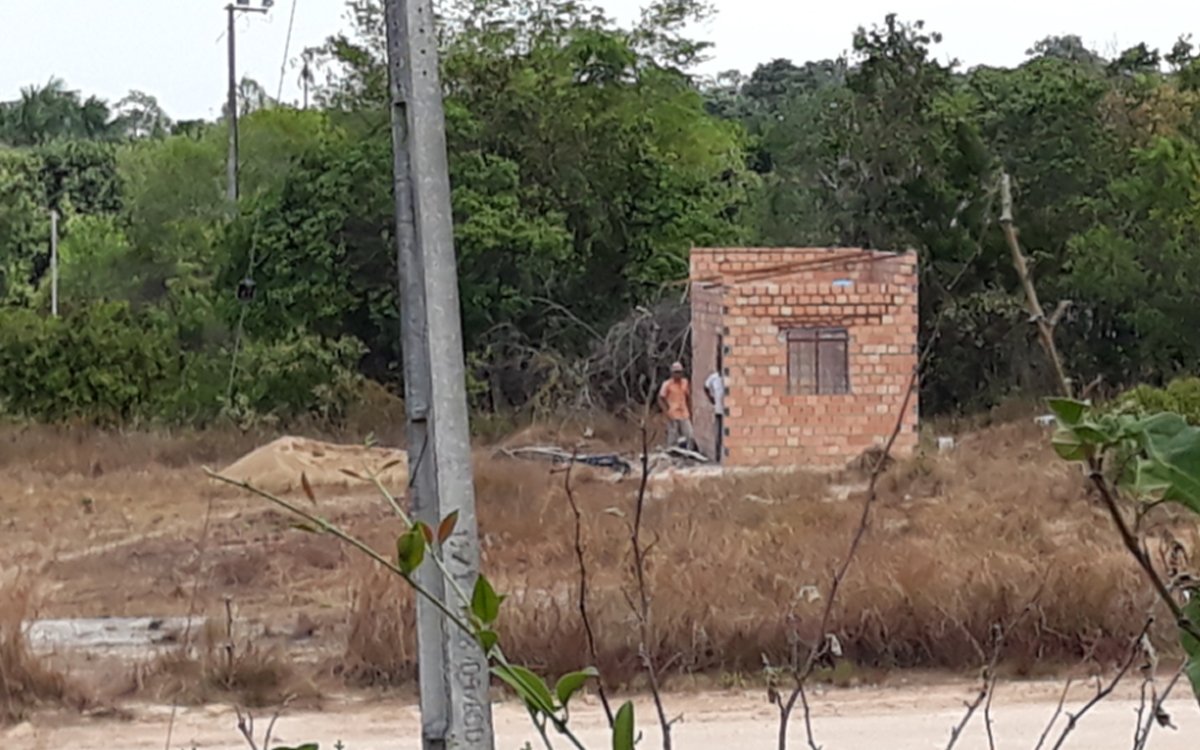Grileiros constroem no mesmo lugar em que tiveram suas obras demolidas no ano passado Ponte Preta