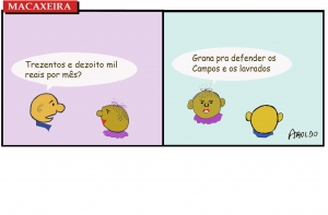 Macaxeira 104