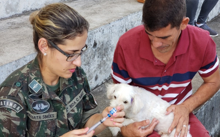 Interiorização de animais de estimação