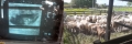 Tecnologia e conhecimento para a agricultura roraimense