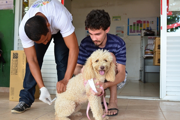 Nova chance para vacinação de animais domésticos