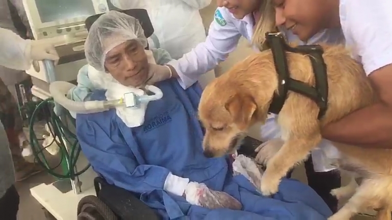 Cão visita paciente no Hospital Geral de Roraima